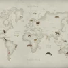 REBEL WALLS Kids Custom Wall Mural - Animal World Map