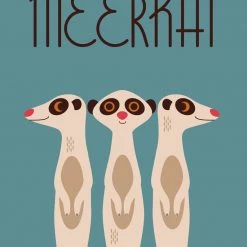 BookSpeed Animals (Walker Studio)- Picture Book