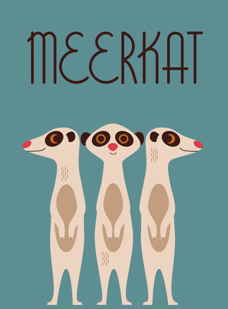 BookSpeed Animals (Walker Studio)- Picture Book 4 BookSpeed Animals (Walker Studio)- Picture Book