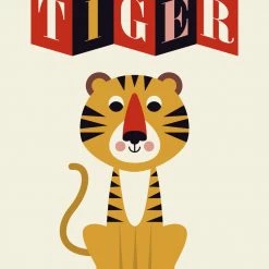 BookSpeed Animals (Walker Studio)- Picture Book 7 BookSpeed Animals (Walker Studio)- Picture Book