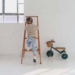 Banwood Trike - Green Kids Bikes & Ride Ons 20 Banwood Trike - Green Kids Bikes & Ride Ons