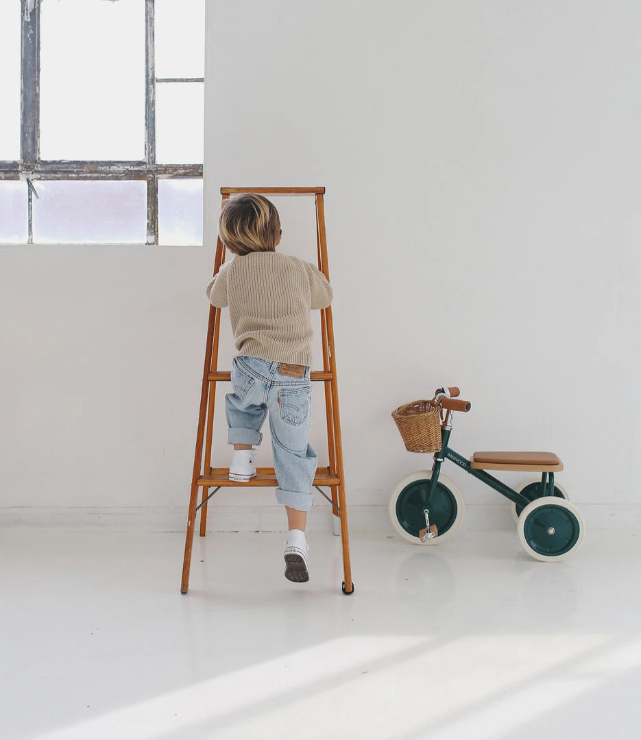 Banwood Trike - Green Kids Bikes & Ride Ons 9 Banwood Trike - Green Kids Bikes & Ride Ons