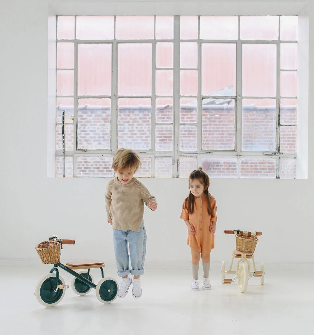 Banwood Trike - Green Kids Bikes & Ride Ons 5 Banwood Trike - Green Kids Bikes & Ride Ons