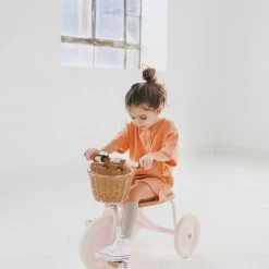 Kids Bikes & Ride Ons Banwood Trike - Pink