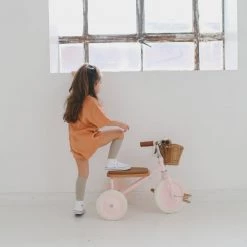 Kids Bikes & Ride Ons Banwood Trike - Pink