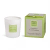 Brooke & Shoals Scented Candle - Grapefruit & Lemongrass Candles & Diffusers