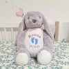 Cherish Me Personalised Bunny - Name & Date Of Birth Decorative Items