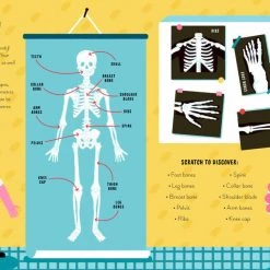 BookSpeed Human Body (Scratch And Learn)