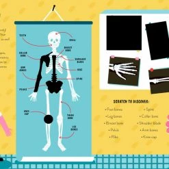 BookSpeed Human Body (Scratch And Learn)
