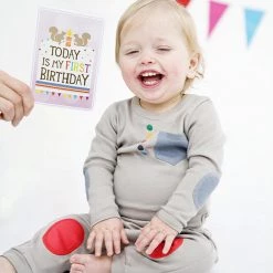 Milestone Cards - Baby 12 Milestone Cards - Baby