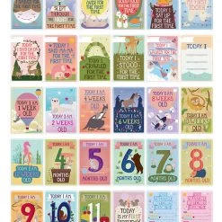 Milestone Cards - Baby 17 Milestone Cards - Baby