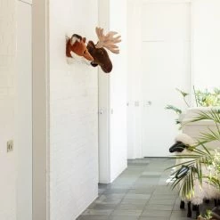 Wild & Soft Wall Toy - Alfred The Moose Wall Decoration 9 Wild & Soft Wall Toy - Alfred The Moose Wall Decoration