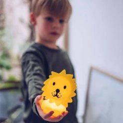 Mr Maria Bundle Of Light - Lion NEW ARRIVALS