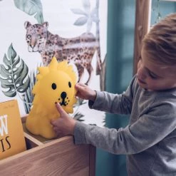 Mr Maria Rechargeable Childs Light - Lion Lighting