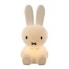 Lighting Mr Maria Rechargeable Childs Light - Miffy