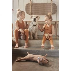 OYOY Hunsi Dog With Puppies Coco & Max Cushions