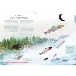 Book Speed Our Planet - Nature Book