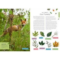 Book Speed Our Planet - Nature Book