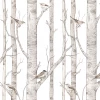 Dekornik Birch Forest Wallpaper Kids Wallpaper