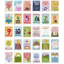 Build Your Own Gift Hamper Milestone Cards - Twins