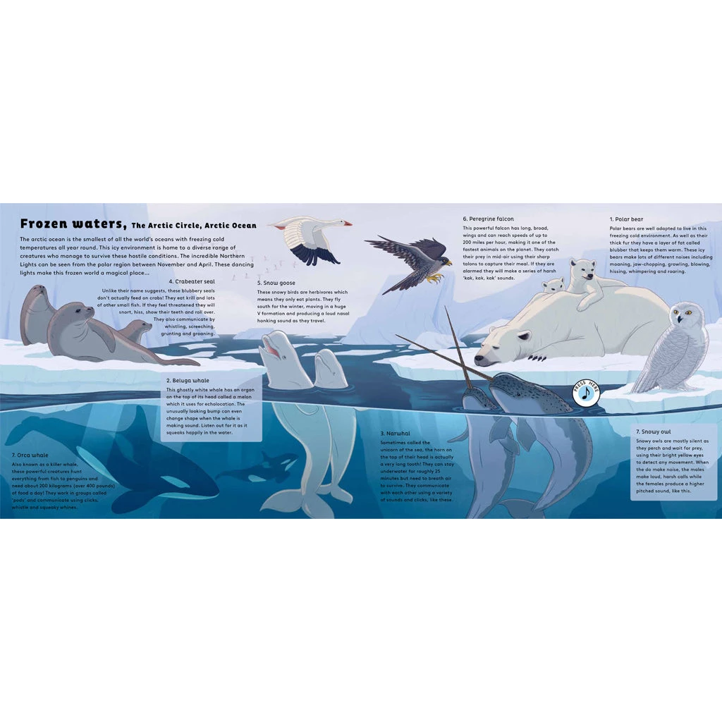 BookSpeed World Of Oceans - Sound Of Nature 5 BookSpeed World Of Oceans - Sound Of Nature