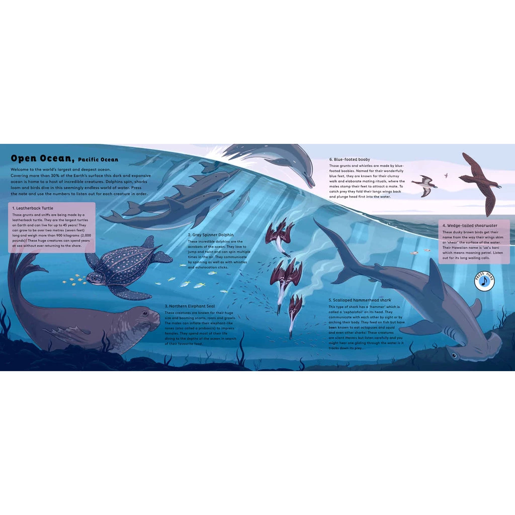 BookSpeed World Of Oceans - Sound Of Nature 4 BookSpeed World Of Oceans - Sound Of Nature